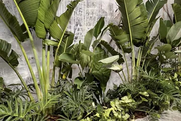 Международная выставка камня в Бразилии Vitória Stone Fair 2023