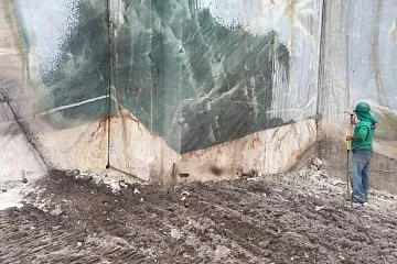Кварцит Botaniс Wave