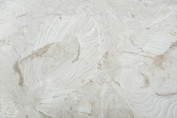 Мрамор Shell Reef Beige