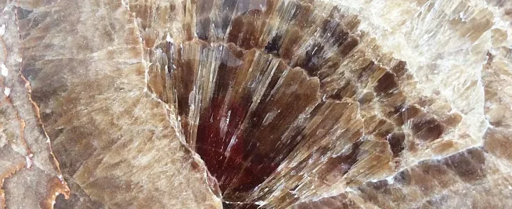 Оникс Brown