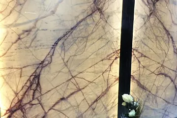 Оникс Coral