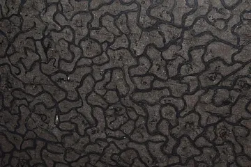 Новое поступление камня!