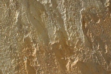 Cланец Mint Fossil